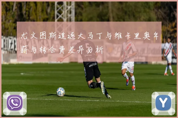 尤文图斯追逐大马丁与维卡里奥年薪与转会费差异分析